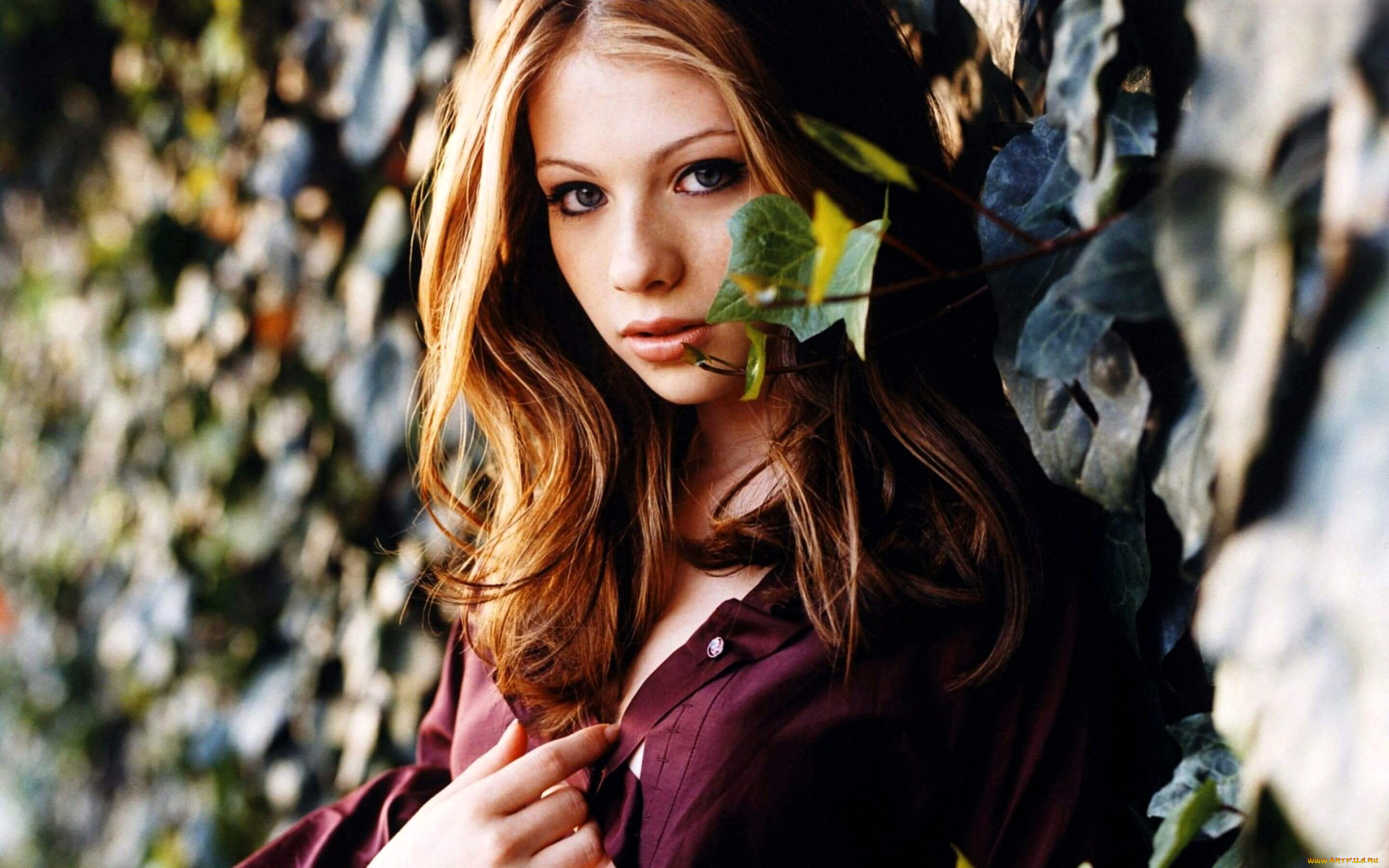 , michelle trachtenberg, , , , , 